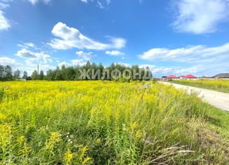 Продается участок, 11.6 сот., посёлок Октябрьский, Октябрьская улица, 14