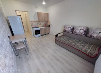 Продается квартира студия, 24 м2, Анапа, Владимирская улица, 142, ЖК Триумф