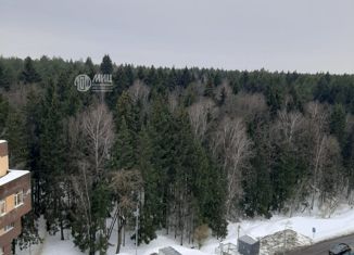 Продается 1-ком. квартира, 34.9 м2, Троицк, микрорайон В, 5