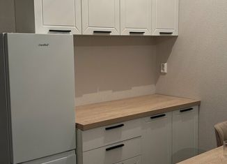 Аренда квартиры студии, 28 м2, поселок Бугры, Тихая улица, 3к2, ЖК Новые Горизонты