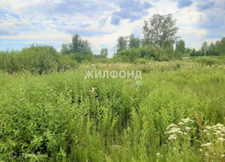 Продаю участок, 10 сот., НСТ Заря, Центральная улица