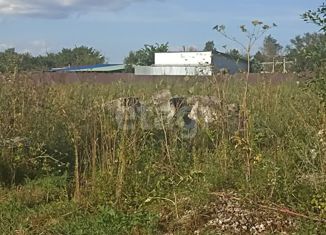 Продаю земельный участок, 15 сот., деревня Андреевское