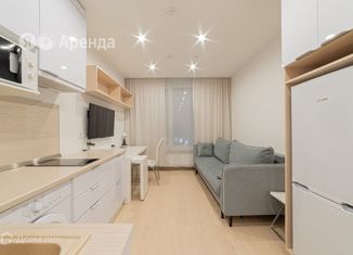 Квартира в аренду студия, 21 м2, Москва, 1-я улица Леонова, 18, район Ростокино
