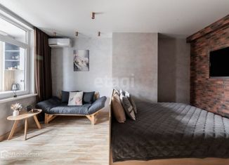 Квартира в аренду студия, 27 м2, Нижний Новгород, улица Семашко, 33А, Нижегородский район