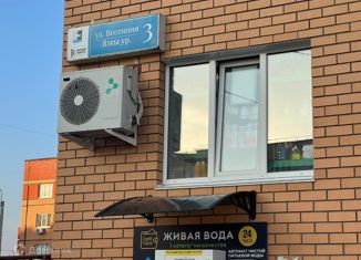 Продажа 1-комнатной квартиры, 40.8 м2, село Зубово, Весенняя улица, 6