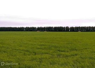 Продам участок, 10 сот., село Музяк, Мирная улица