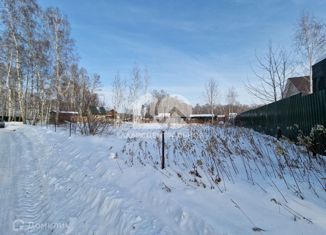 Продается земельный участок, 5.4 сот., СНТ Надежда-2, Берёзовая улица, 596