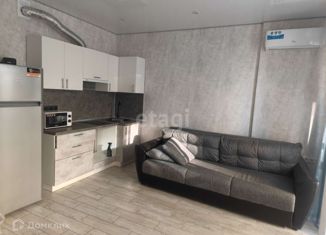 Сдача в аренду квартиры студии, 27.5 м2, Ростов-на-Дону, Магнитогорская улица, 2В, ЖК Екатерининский