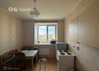 Сдам в аренду 1-комнатную квартиру, 32 м2, Санкт-Петербург, Гатчинское шоссе, 4к3