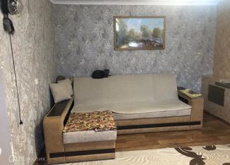 Дом на продажу, 42.9 м2, село Пелагиада, Заречная улица