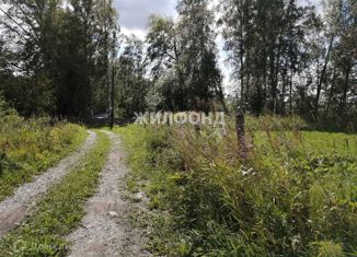 Земельный участок на продажу, 25 сот., садовое товарищество Ключи-1