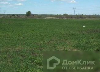 Продажа участка, 30 сот., деревня Шуклино, Строительная улица, 39