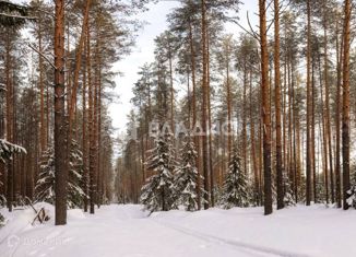 Продажа земельного участка, 29.99 сот., Турбаза Ладога