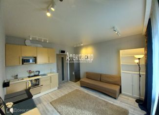 Продам квартиру студию, 24.3 м2, Санкт-Петербург, Республиканская улица, 24к1, Республиканская улица