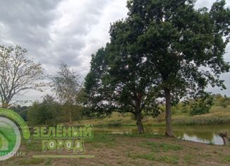 Продаю земельный участок, 800 сот., посёлок Грачёвка, Центральная улица