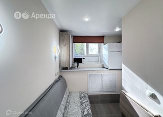 Сдам в аренду квартиру студию, 10 м2, Москва, Гостиничная улица, 10к5