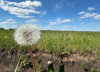 Участок на продажу, 6 сот., деревня Елань, Дачная улица