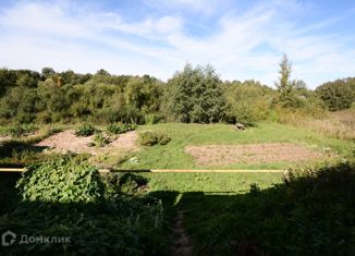 Продам земельный участок, 25 сот., деревня Нолька, Брусничная улица