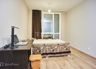 Продается квартира студия, 22.1 м2, посёлок Парголово, Толубеевский проезд, 8к2