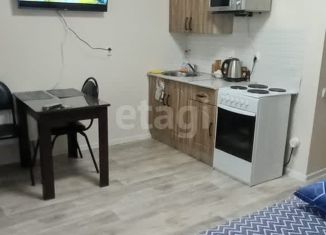 Продажа квартиры студии, 24.3 м2, Набережные Челны, улица Виктора Полякова, 9В