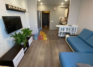 Продам квартиру студию, 28.6 м2, село Осиновая Гора, 3-й Восточный проезд, 7