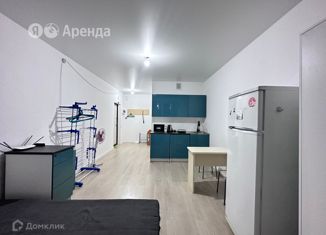 Сдаю в аренду квартиру студию, 26 м2, село Остафьево, улица Логинова, 5к1