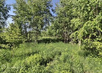 Земельный участок на продажу, 18.9 сот., деревня Соколово, деревня Соколово, 174