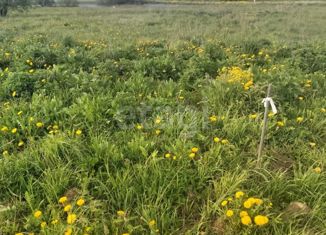 Продаю земельный участок, 12 сот., деревня Чепелёво