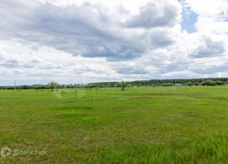 Продам участок, 4.37 сот., деревня Коняшина