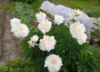 Продажа земельного участка, 3.18 сот., поселок Можайское