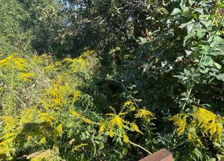 Продаю участок, 5 сот., садоводческое товарищество Виноград, Звёздная улица