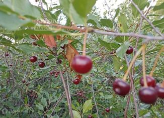 Продаю участок, 10.25 сот., СНТ Северянка, 3-я аллея