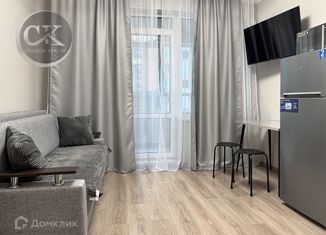 Аренда квартиры студии, 20.8 м2, посёлок Парголово, Брюлловская улица, 3, ЖК Континенты