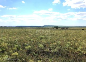 Продается земельный участок, 10 сот., Чистенское сельское поселение