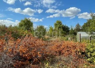 Продаю участок, 5.08 сот., СТ Сокские Зори