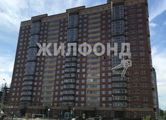 2-комнатная квартира на продажу, 60 м2, Новосибирск, улица Михаила Кулагина, 29/1, ЖК Молодёжный