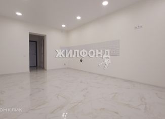 Продам двухкомнатную квартиру, 69.8 м2, Новосибирск, Гурьевская улица, 78, метро Октябрьская