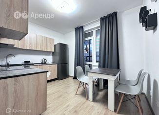 Однокомнатная квартира в аренду, 35 м2, Санкт-Петербург, проспект Ветеранов, 175к4