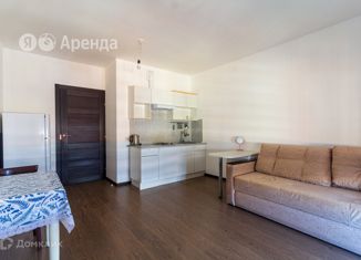 Квартира в аренду студия, 24 м2, Санкт-Петербург, улица Лётчика Лихолетова, 14к3, муниципальный округ Сосновая Поляна