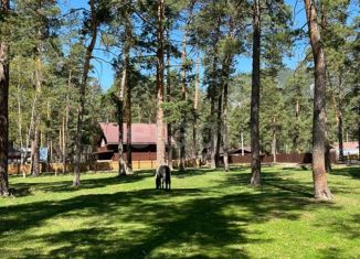 Продам участок, 10.1 сот., село Чепош, улица Кучияк