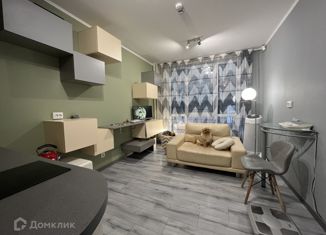 Продаю квартиру студию, 18 м2, посёлок Парголово, Толубеевский проезд, 8к2