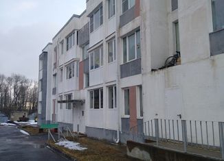 Квартира на продажу студия, 21.7 м2, Ленинградская область, деревня Оржицы, 4