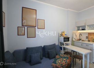 Продам квартиру студию, 21 м2, деревня Афонино, улица Красная Поляна, 1