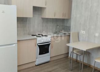 Сдача в аренду квартиры студии, 26 м2, Новосибирск, улица Кирова, 225