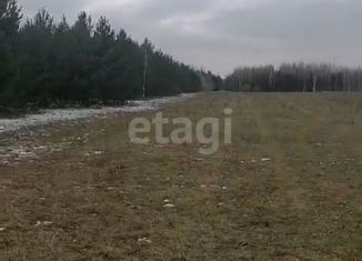 Продажа участка, 2456 сот., Режевской городской округ