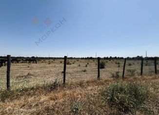 Продается участок, 100 сот., Энемское городское поселение