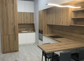 Сдается 1-ком. квартира, 45 м2, Санкт-Петербург, улица Оптиков, 37, ЖК Морская Звезда