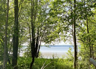 Продаю участок, 24 сот., поселок Приладожское, Прибрежная улица