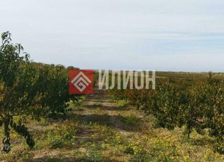 Участок на продажу, 203.9 сот., село Угловое, улица Свидерского, 14