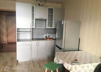 Сдам квартиру студию, 29 м2, Санкт-Петербург, Первомайская улица, 5к1